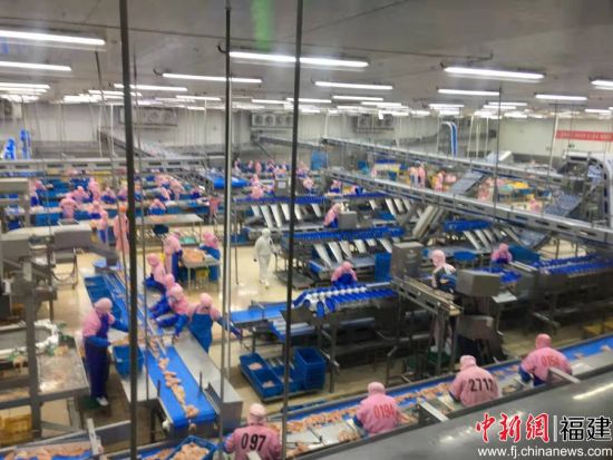 圖為圣農工廠。