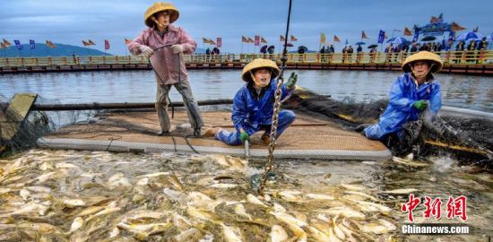 漁民在操作網(wǎng)箱起魚(yú)。蕉城區(qū)融媒體中心 供圖