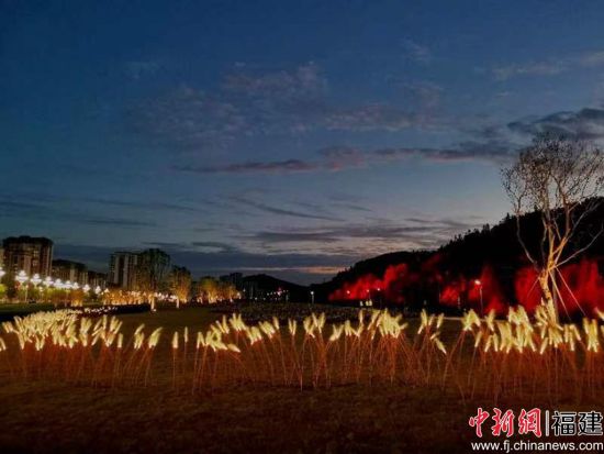 武夷新區(qū)千畝花海煥新顏。王升洪 攝