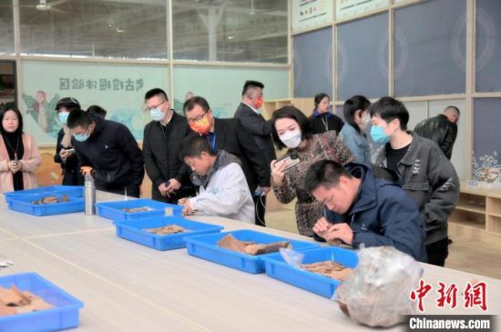 福建省研學實踐教育創(chuàng)意升級活動現場?！「＝ㄊ∥穆脧d供圖