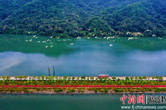  圖為三明市將樂縣常口村常源湖森林康養(yǎng)慢道。