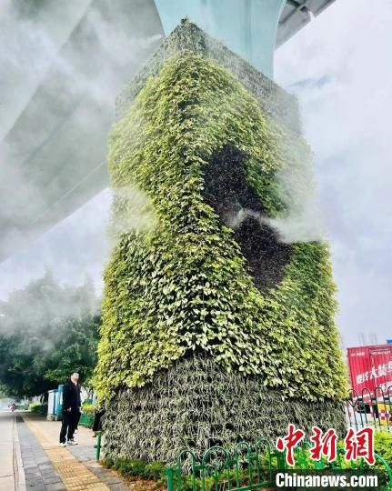 8月31日，美格農(nóng)藝參與的廈門(mén)BRT綠化建設(shè)工程，把廈門(mén)裝點(diǎn)得更加美麗迷人?！?美格農(nóng)藝 供圖)